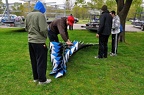 Oar Tree1